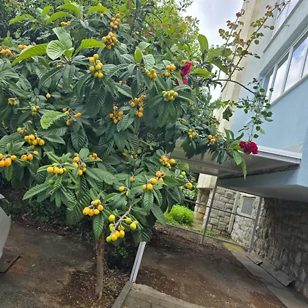 Dado With Cover Parking On Ideal Location Apartman Dubrovnik