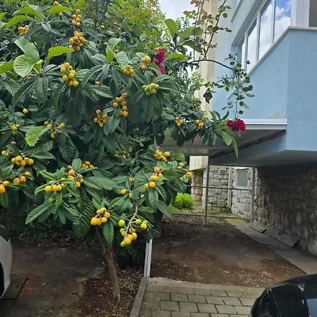 Dado Sa Nadkrivenim Parkingom Na Idealnoj Lokaciji Apartment *